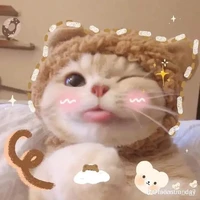 con tg mỏ hỗn nek