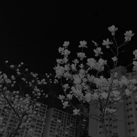 all lớp