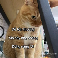 TG Bị Khờ