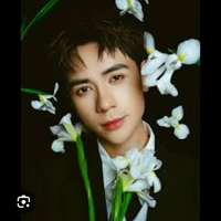quang hùng masterD