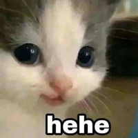 ht 25122012( ở dạng thú)