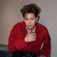 Dương Domic