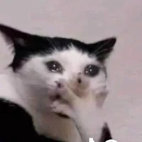 T/g