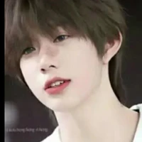 Trần Dịch Hằng