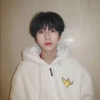 Nhiếp Vĩ Thần_T