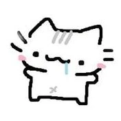 nvp nam