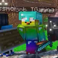 Noob TGaming