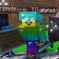 Noob TGaming