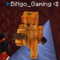 BiNgo_Gaming