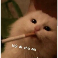 nhuw nie