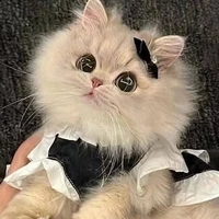 Hệ thống hiphop (Luna)