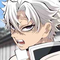 Shinazugawa Sanemi