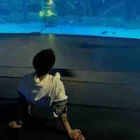 Allbot(-một số trường hợp)