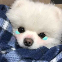 Nhí xịn 🌚