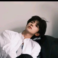 Phan Võ Hoàng Bảo