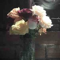Mọi người