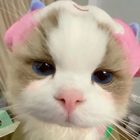 con nhỏ tác giả