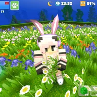 hisa