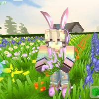 hasi