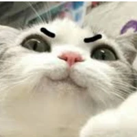 Tôi