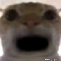 My