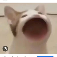 sang