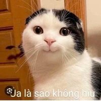 thầy dạy võ
