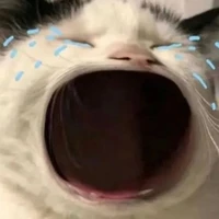 cô bán mì 