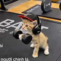 Tác giả