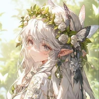 Miya