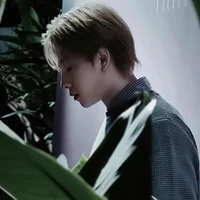 Trần Phong Hào (Nicky) 