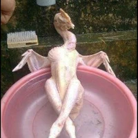 All[-trừ ai thì trừ]