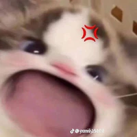 t/g depzai nhưng là con gái:3