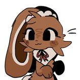 Cocoa