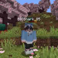 Bigshark