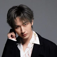 Lý Hoành Nghị _ Chòm sao Bạch Dương
