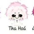 Hiha_Tha Hóa