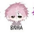 Hiha_BNHA
