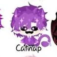 Hiha_Catnap