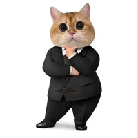 Tổng Tài Chưng Dài 2m9