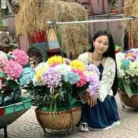 Vũ Lưu Linh 