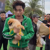 Trần Đăng Dương