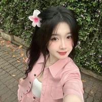 Lê Hoài An