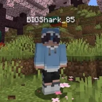 Big Shark