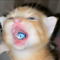 ℎ𝑒̣̂ 𝑡ℎ𝑜̂́𝑛𝑔 𝑣𝑜̂ 𝑡𝑟𝑖 098