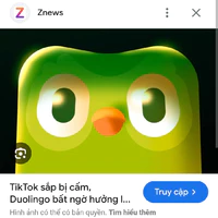 sao k hc Duolingo mà lại ngồi đọc truyện