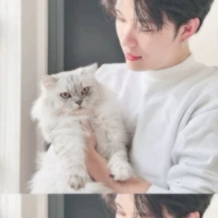 Trần Đăng Dương/Dương Domic