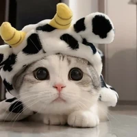 Đồng Gia Bảo