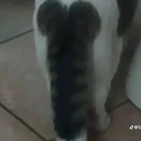 ad đây