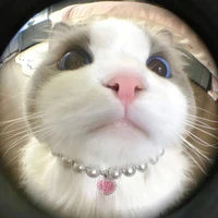 Me